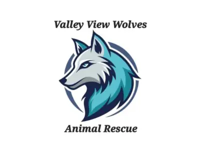 Valley View Wolves logo
